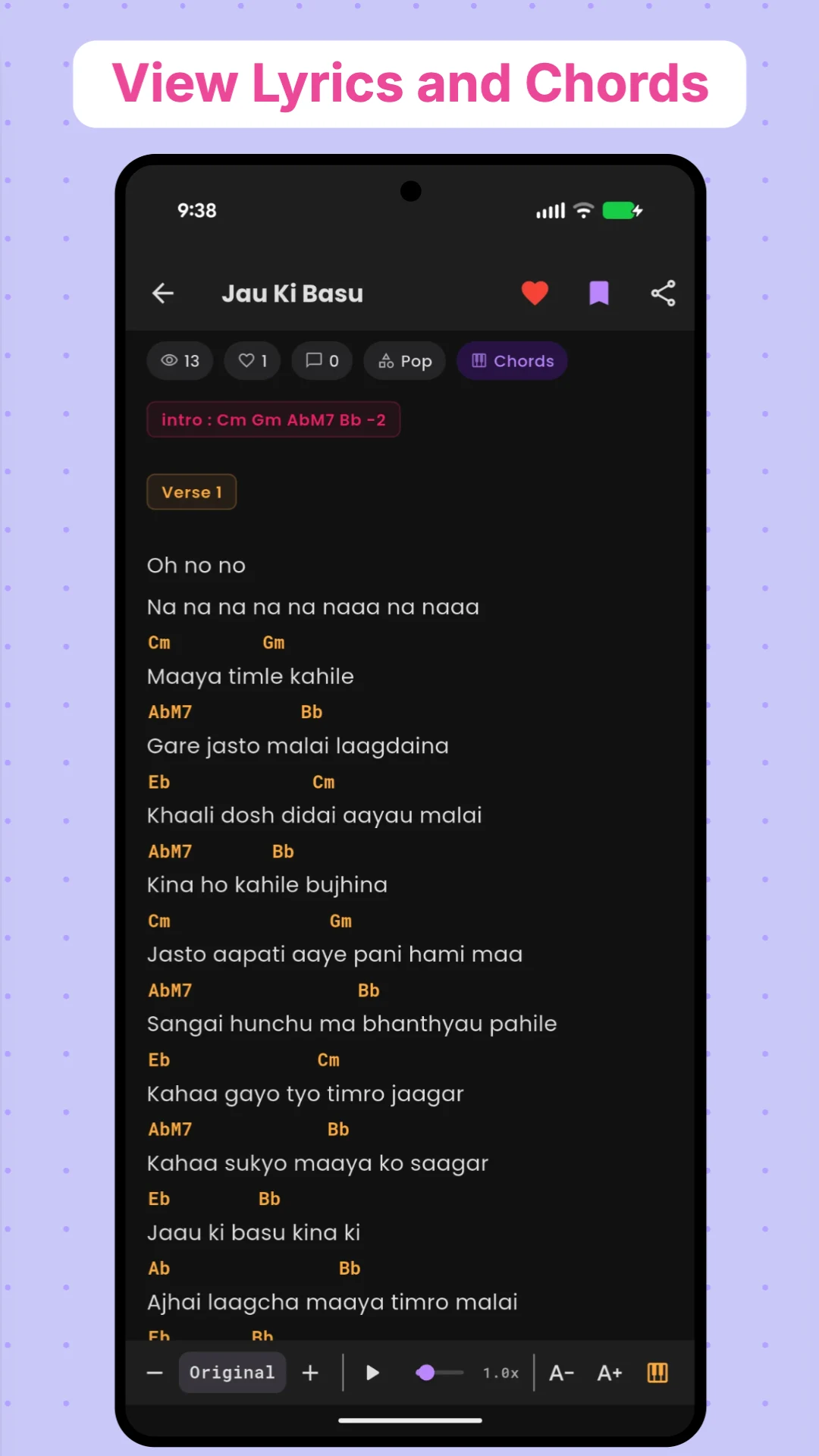 Nepali Lyrics, Chords & Radio screenshot